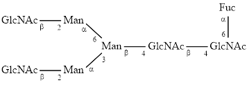 FA2 glycan (G0F)